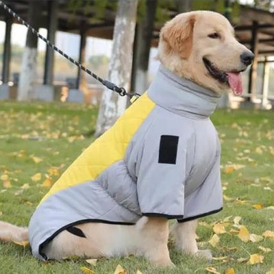 Large Dog Coat in Yellow and Grey
