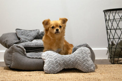 Create a Cozy Haven for Your Pup with our Cozy Cuddle Bed Set