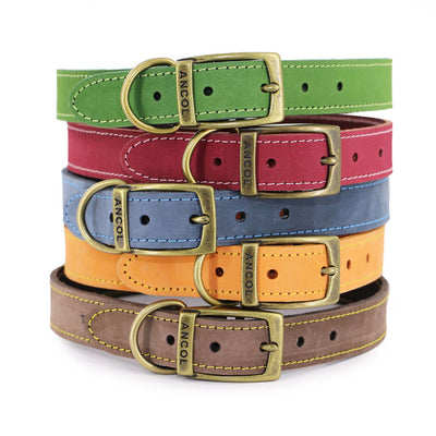 Ancol Timberwolf Blue Leather Dog Collar