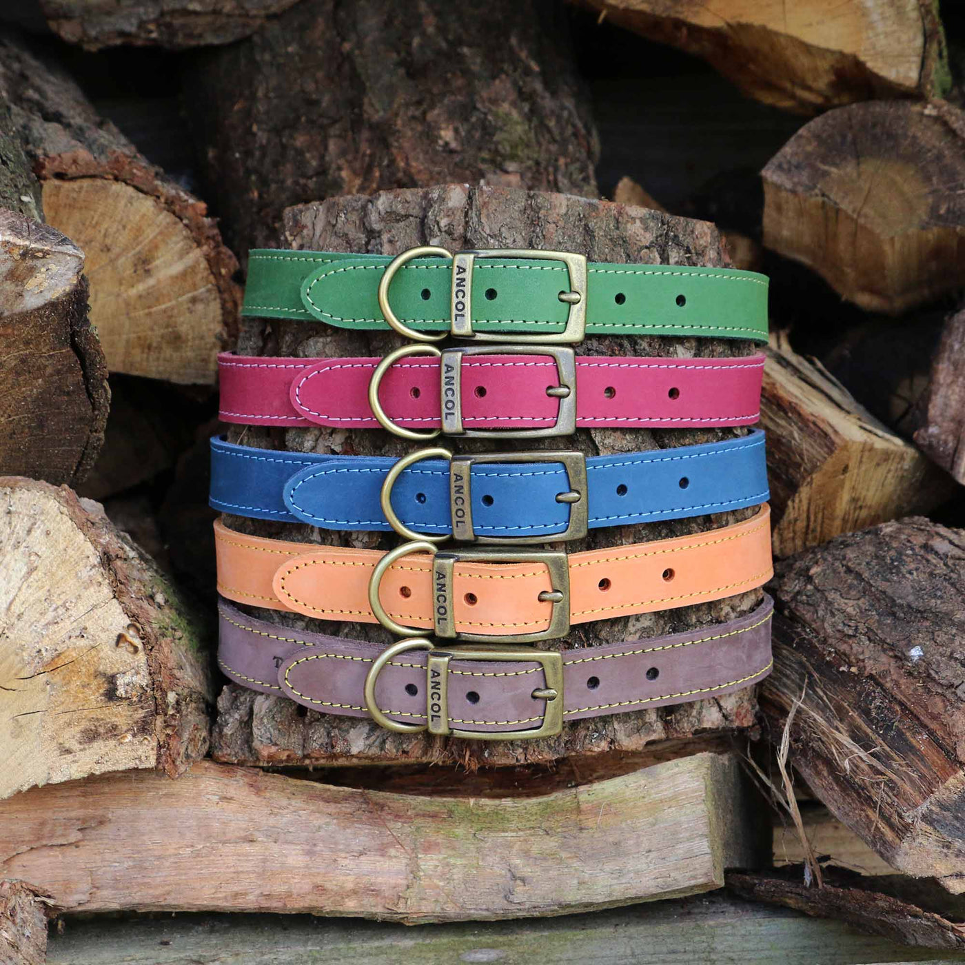 Ancol Timberwolf Blue Leather Dog Collar
