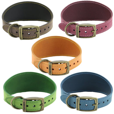 Ancol Timberwolf Green Greyhound Collar