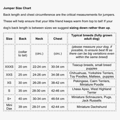 'The Winchmore' - Blush Bone Knit Dog Jumper