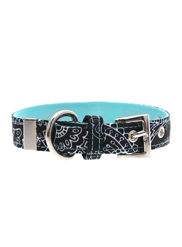 Black & Blue Paisley Fabric Collar