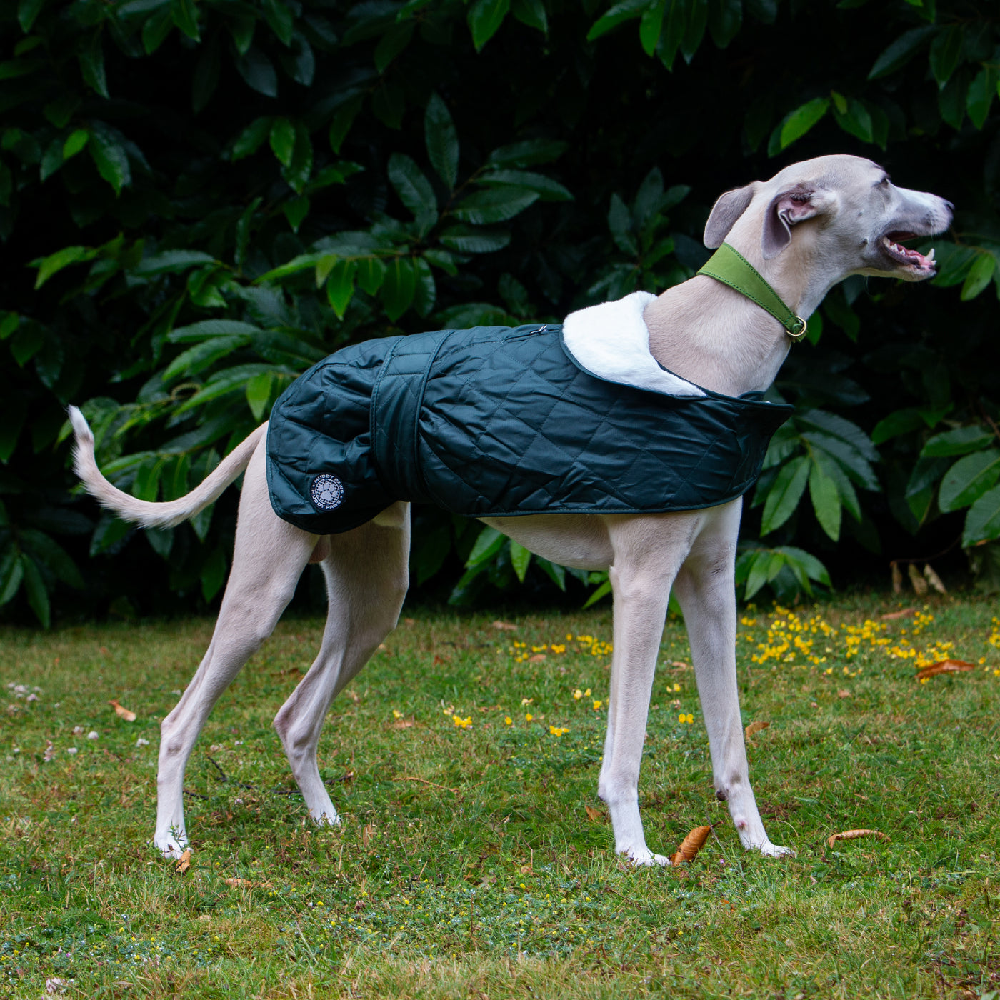 Ancol Heritage Quilted Hound Coat in Green