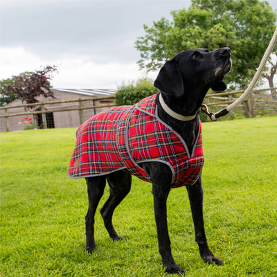 Ancol Heritage Red Tartan Coat