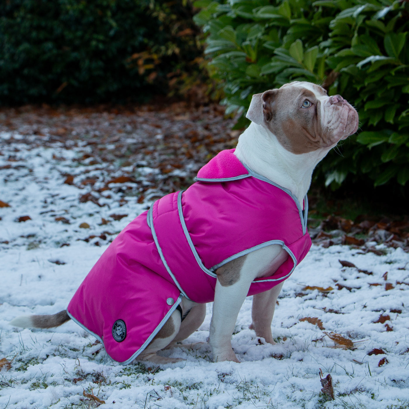 Ancol Stormguard Dog Coat Pink