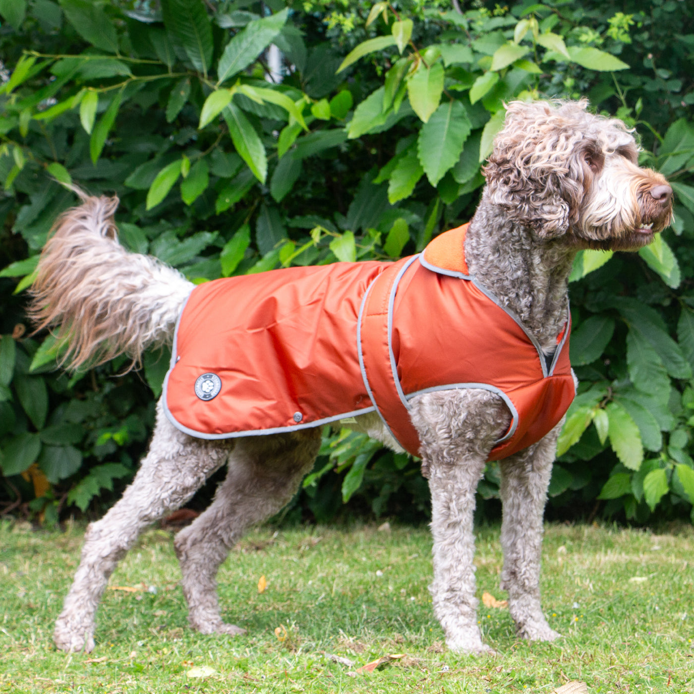 Ancol Stormguard Dog Coat Terracotta