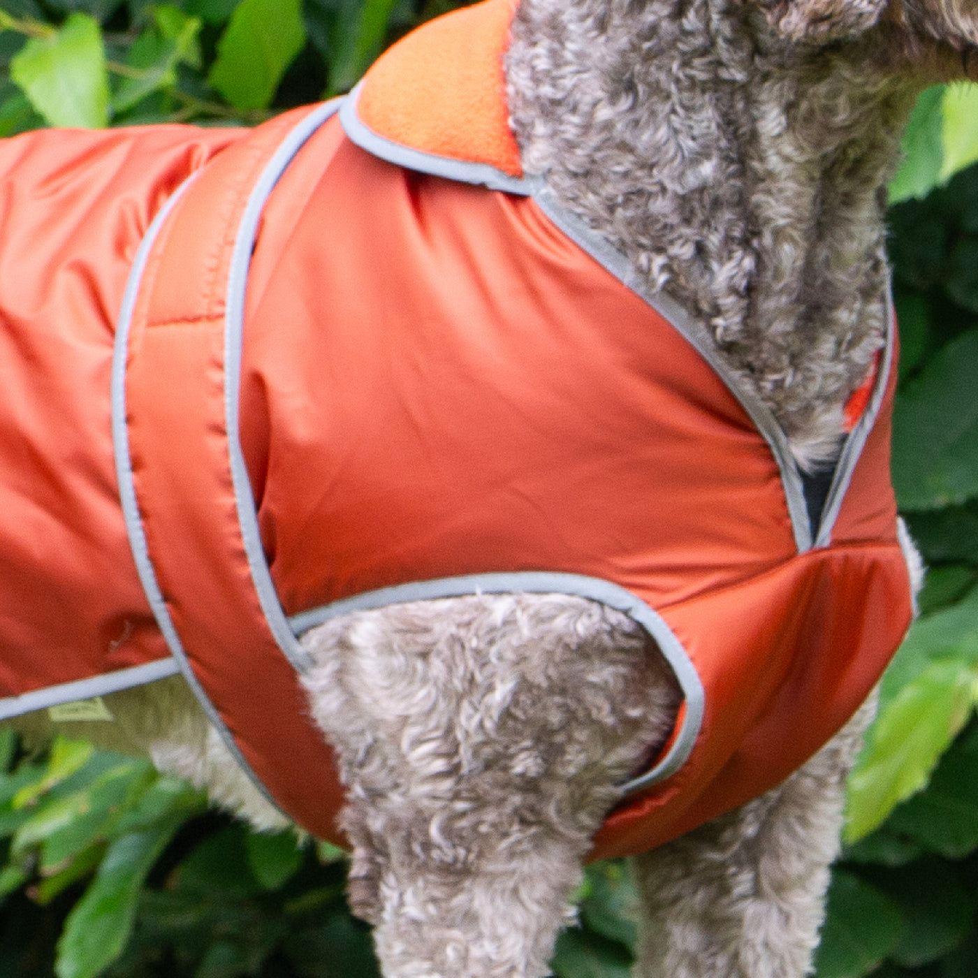 Ancol Stormguard Dog Coat Terracotta