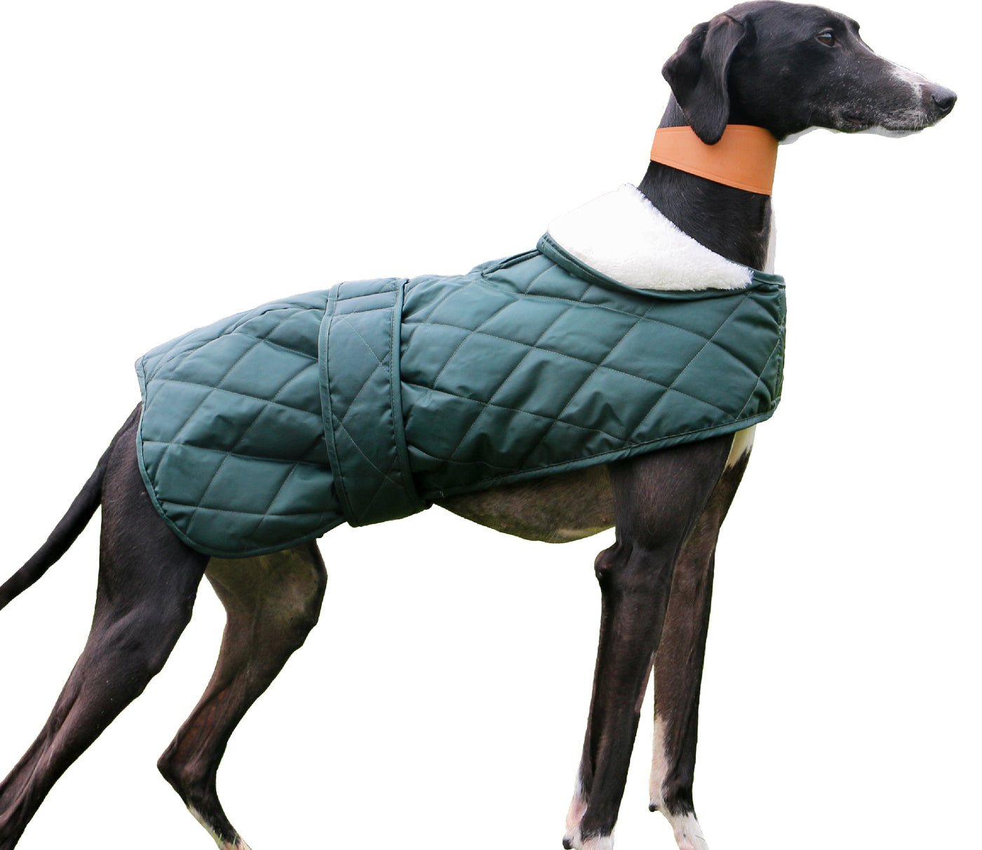 Ancol Heritage Quilted Hound Coat in Green