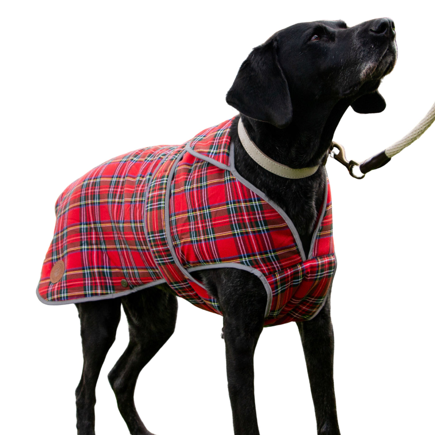 Ancol Heritage Red Tartan Coat