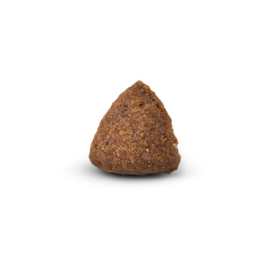 Arden Grange Mini Adult with Fresh Chicken & Rice