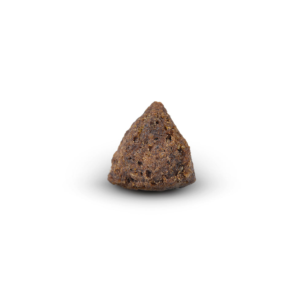 Arden Grange Mini Adult with Fresh Lamb & Rice