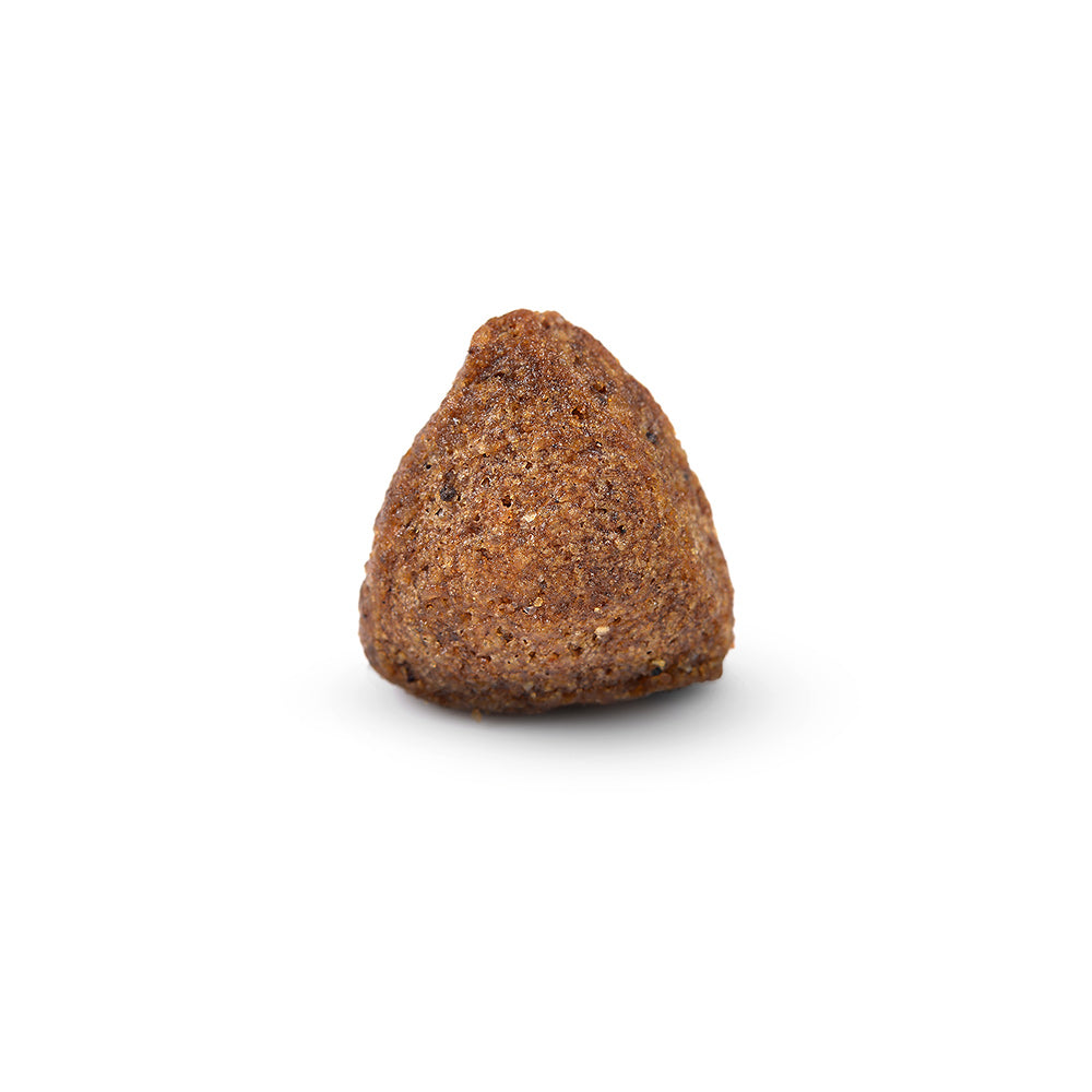 Arden Grange Adult Rich in Fresh Pork & Rice