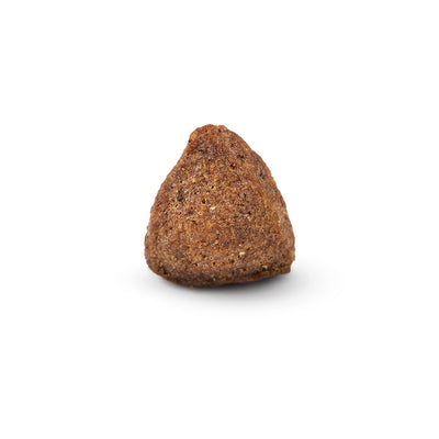 Arden Grange Adult Rich in Fresh Pork & Rice