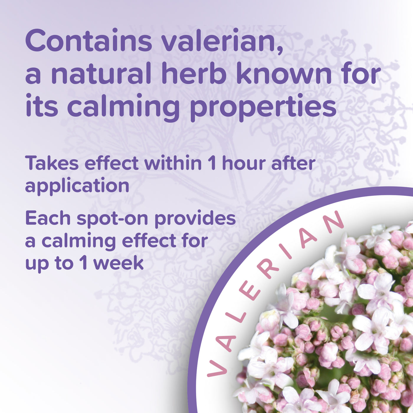 Beaphar Herbal Calming Spot-On for Dogs