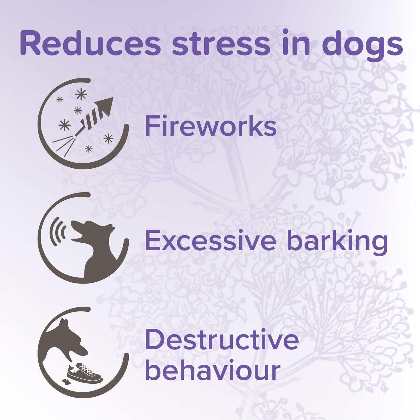 Beaphar Herbal Calming Spot-On for Dogs