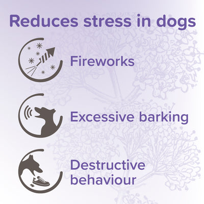 Beaphar Herbal Calming Spot-On for Dogs