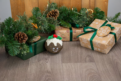 Bouncing Colin Jr Festive Dog Toy by Ancol