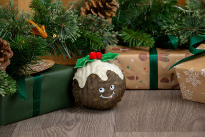 Bouncing Colin Jr Festive Dog Toy by Ancol