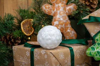 Bouncy Ball Festive Dog Toy by Ancol