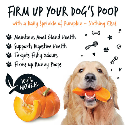 Bugalugs Natural Pumpkin Powder Supplement 200g