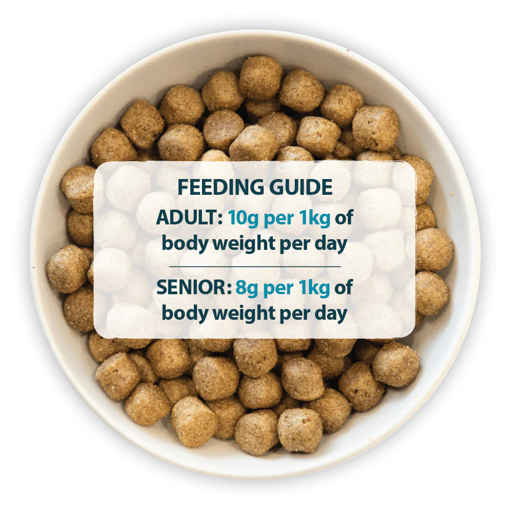 Burns Original Chicken & Brown Rice Dry Dog Food 2kg