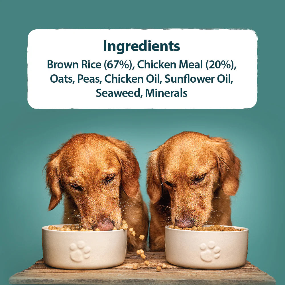 Burns Original Chicken & Brown Rice Dry Dog Food 2kg
