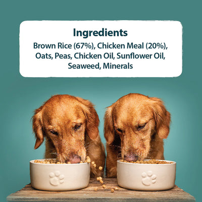 Burns Original Chicken & Brown Rice Dry Dog Food 2kg