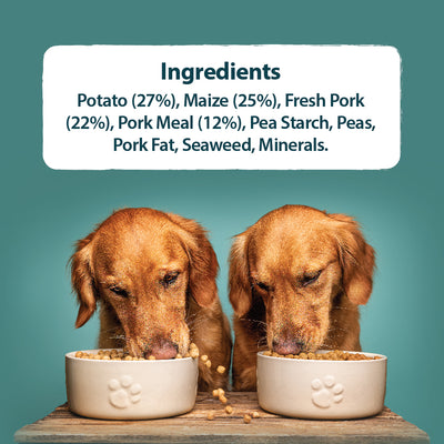 Burns Sensitive Pork & Potato 12Kg