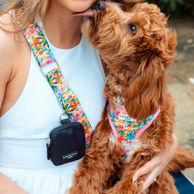 Cocopup Bag Strap (Portofino pup)