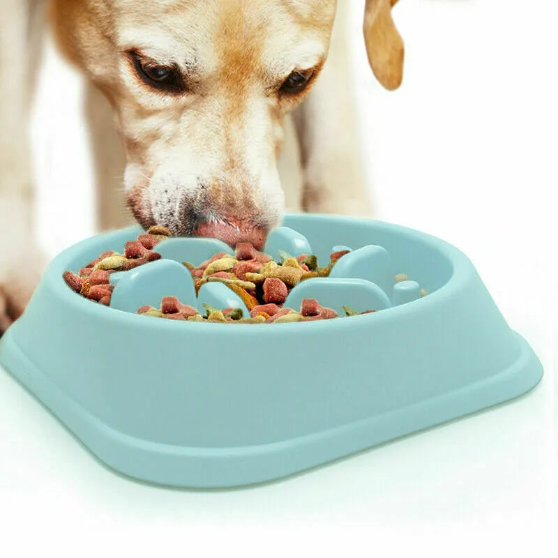 Slow Feeding Dog Bowl Yellow