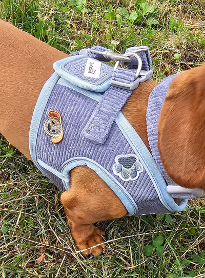 Doodlebone Dinky Dog Snappy Harness in Blue Cord
