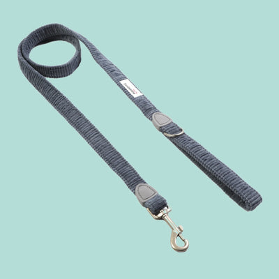 Doodlebone Dinky Dog Snappy Lead - Blue Cord
