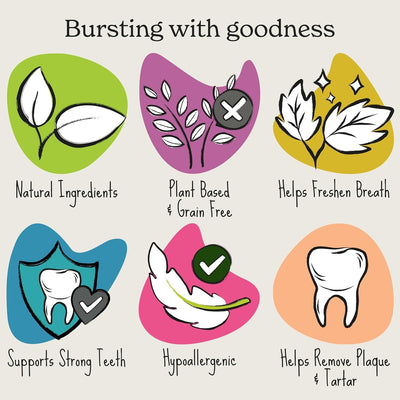 Forthglade Natural Dental Sticks 5pk