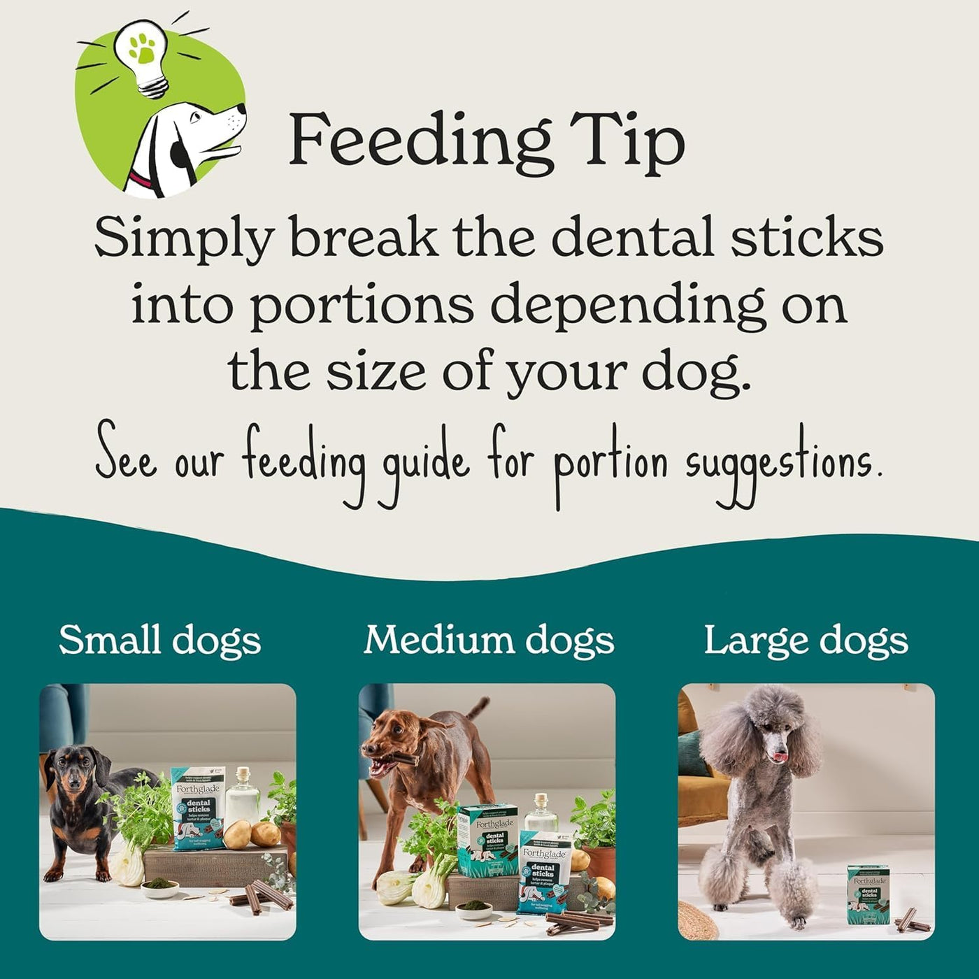 Forthglade Natural Dental Sticks 5pk