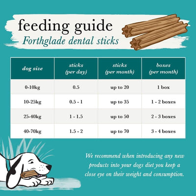Forthglade Natural Dental Sticks 5pk