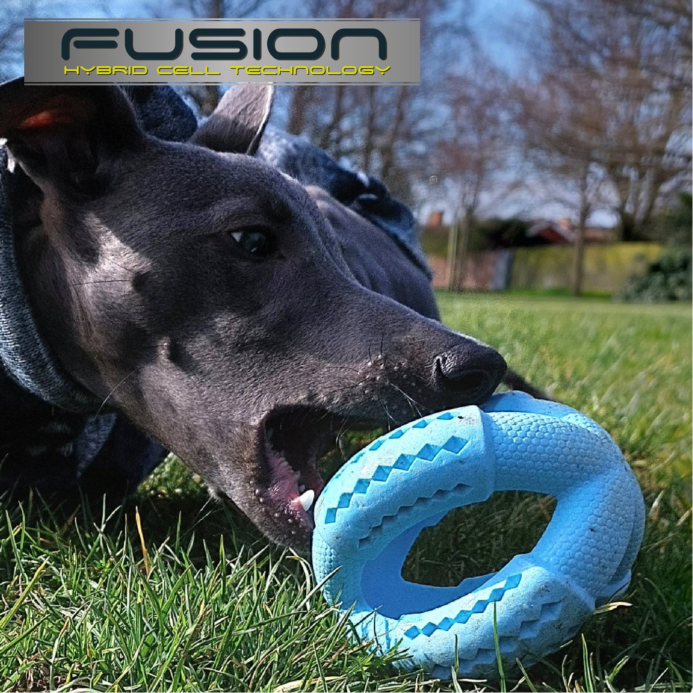 Fusion Hybrid 'Jawables' Dog Toys by ANCOL