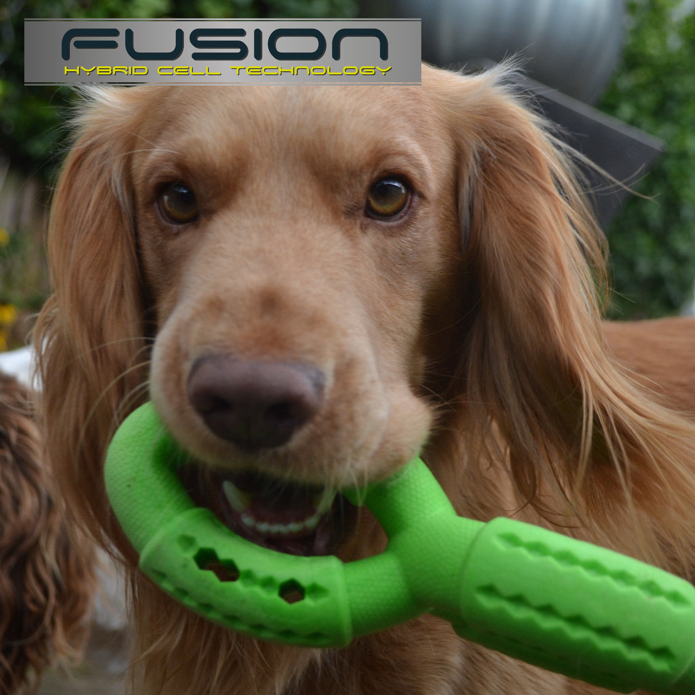 Fusion Hybrid 'Jawables' Dog Toys by ANCOL