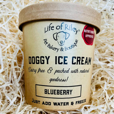 BlueBerry Ice Cream for Dogs