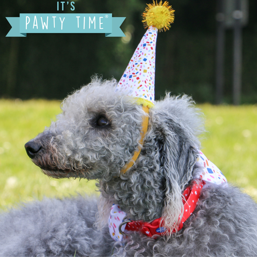 Ancol Pawty Sprinkle Hat & Bandana Set