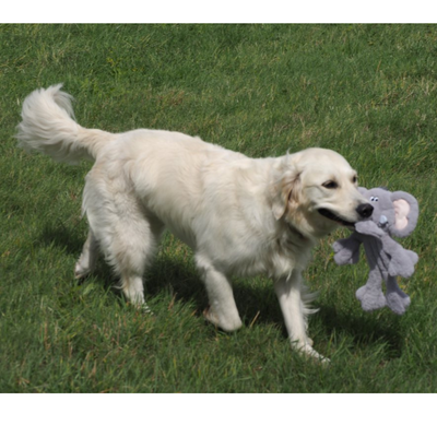 Petface Buddies Evie Elephant rope body plush Toy