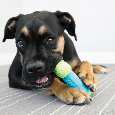 KONG CoreStrength Bone Toy for Dogs
