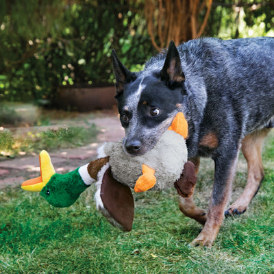 KONG Shakers Honker Duck - Small