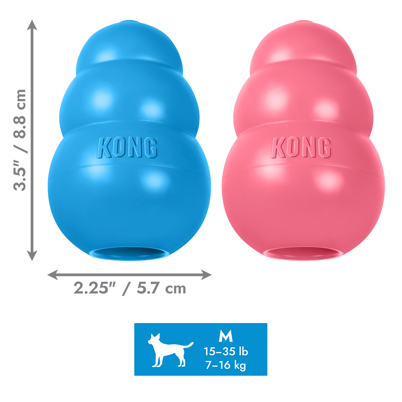 KONG Puppy Blue Md