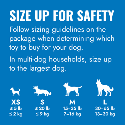 KONG Puppy Blue Md