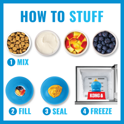 KONG Puppy Blue Md