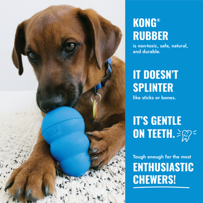 KONG Puppy Blue Md