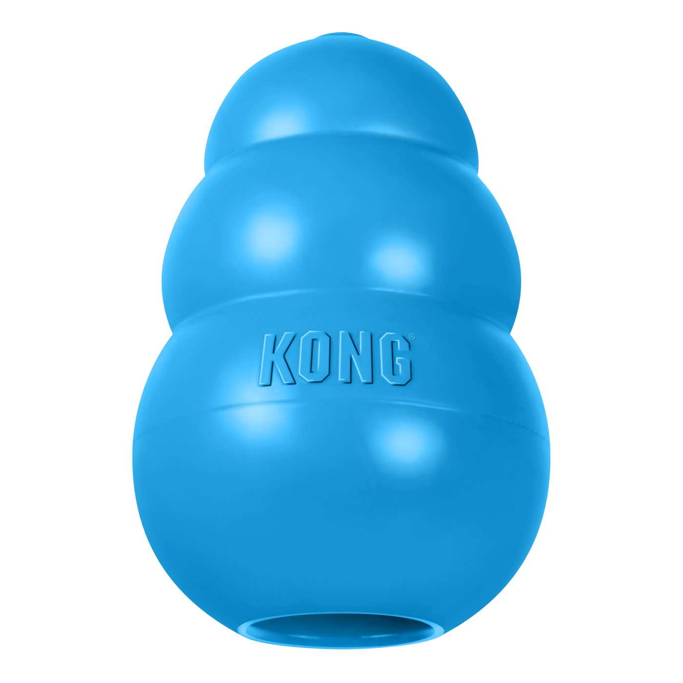 KONG Puppy Blue Md