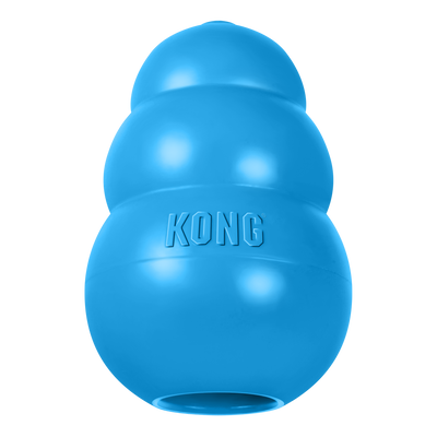 KONG Puppy Blue Md