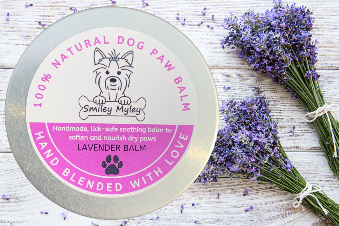 100 Natural Paw Balm Lavender 50ml